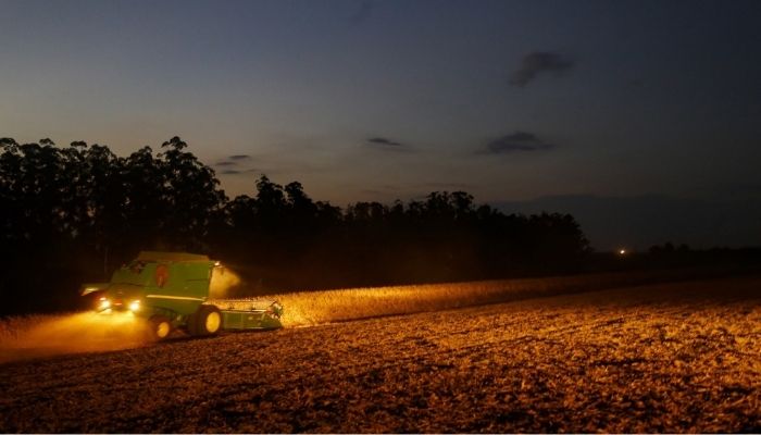  Portaria do Paraná amplia período de plantio da soja para produção de sementes